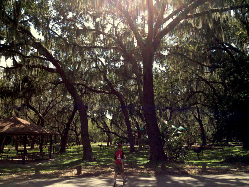 Boy in red shirt walking on path under large trees with sun shining through