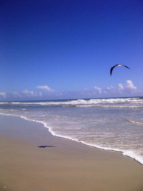 New Smyrna Beach-20130820-01164