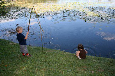 Lake Lily Park, Maitland