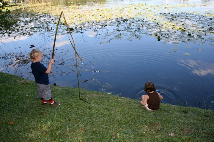 Lake Lily Park, Maitland