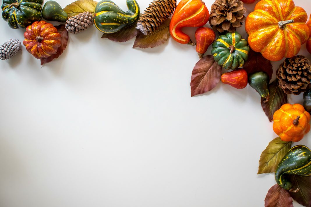 Giving in the Holiday Season davies-designs-studio via unsplash white background with pumpkins, leaves and gourds in a half circle