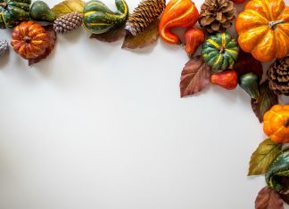 davies-designs-studio via unsplash white background with pumpkins, leaves and gourds in a half circle