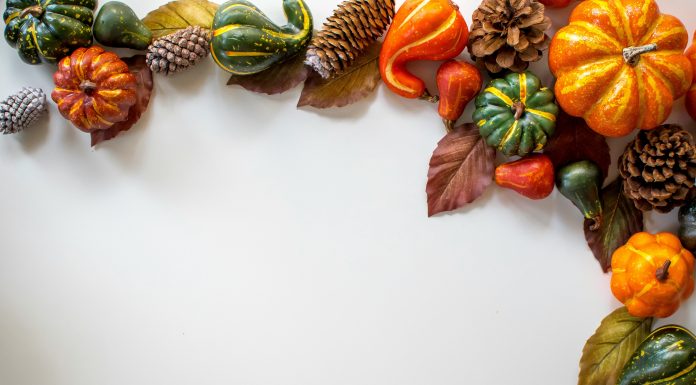 Charitable Giving for the Holidays! davies-designs-studio via unsplash white background with pumpkins, leaves and gourds in a half circle