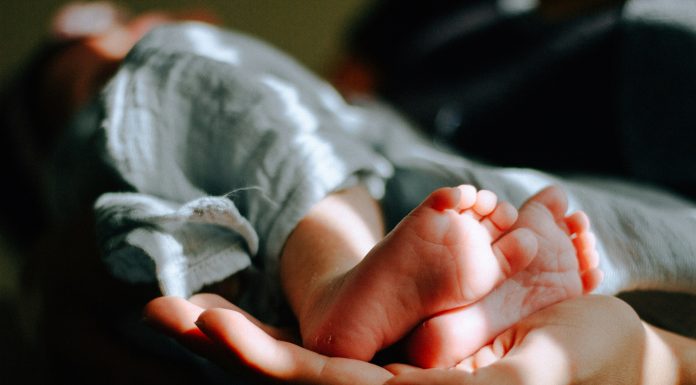 Special Delivery! omar-lopez via unsplash two baby feet in an adult hand