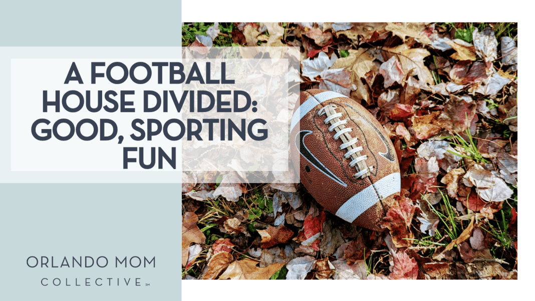 A Football House Divided Good, Sporting Fun Alyssa Coulter via Unsplash football laying in fall leaves with 'a football house divided: good, sporting fun' on the left