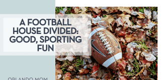 Alyssa Coulter via Unsplash football laying in fall leaves with 'a football house divided: good, sporting fun' on the left