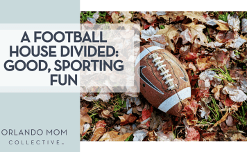 Alyssa Coulter via Unsplash football laying in fall leaves with 'a football house divided: good, sporting fun' on the left