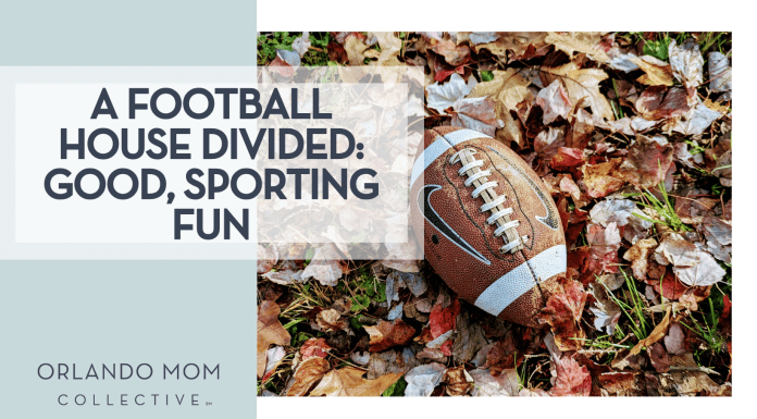 A Football House Divided: Good, Sporting Fun Alyssa Coulter via Unsplash football laying in fall leaves with 'a football house divided: good, sporting fun' on the left
