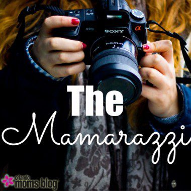 the mamarazzi