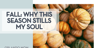 Kerstin Wrba via Unsplash orange and green pumpkins with words 'Fall: Why this season still my soul' on the left