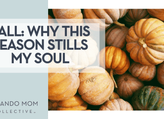 Kerstin Wrba via Unsplash orange and green pumpkins with words 'Fall: Why this season still my soul' on the left