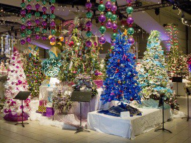 Festival of Trees