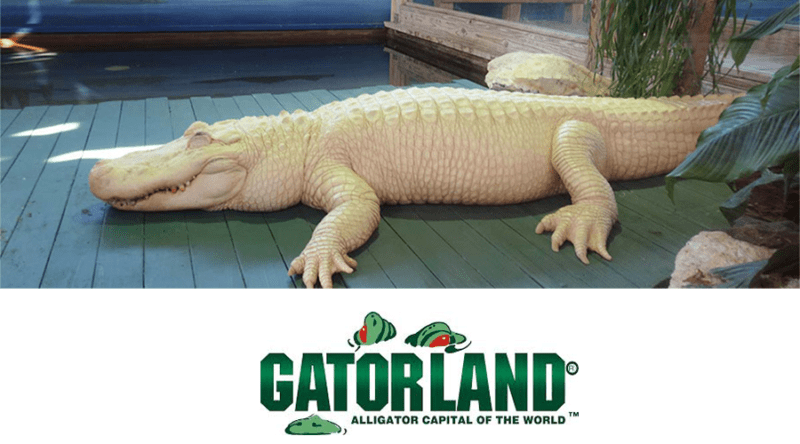 Gatorland