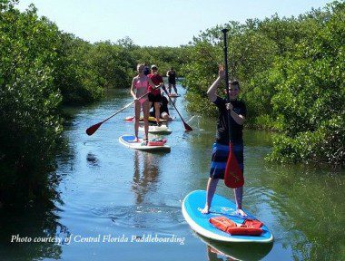 cfl pb family mangroves