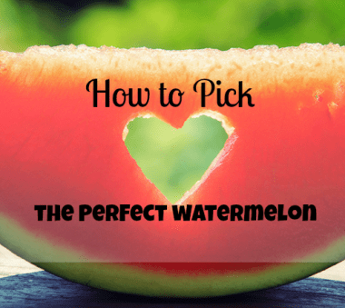 watermelon cover