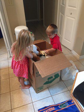 "Helping" unpack...