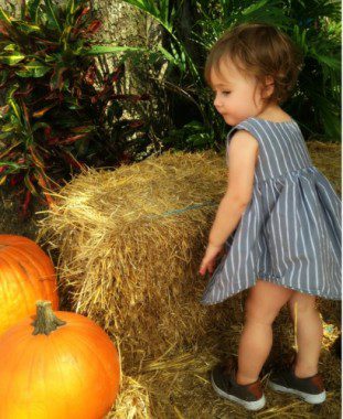 Violet pumpkin patch 2015