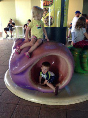 Exploring the Florida Aquarium