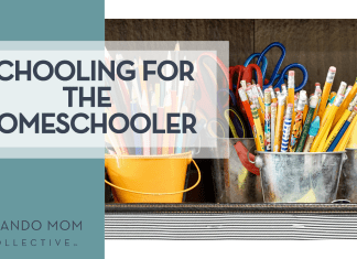 Laura Rivera via Unsplash pencils and colored pencils in metal buckets on a shelf with words 'Schooling for the Homeschooler' on the left