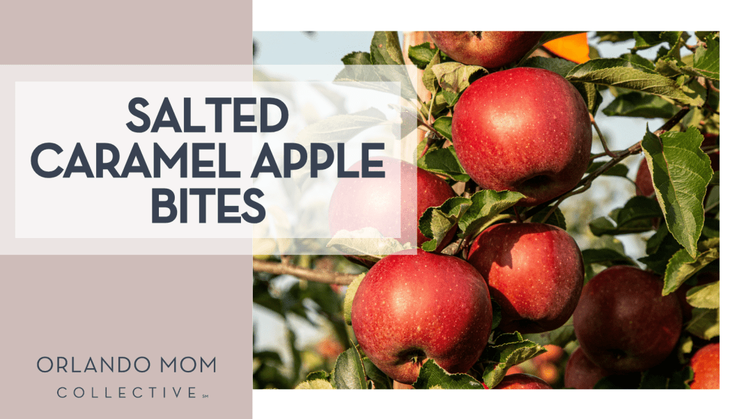 Marek Studziński via Unsplash red apples on a tree with words 'salted caramel apple bites' on the left