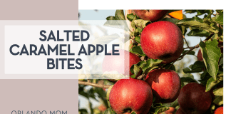 Salted Caramel Apple Bites Marek Studziński via Unsplash red apples on a tree with words 'salted caramel apple bites' on the left