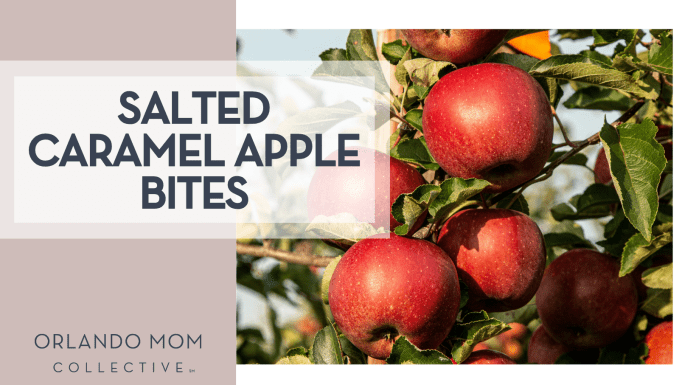 Salted Caramel Apple Bites Marek Studziński via Unsplash red apples on a tree with words 'salted caramel apple bites' on the left