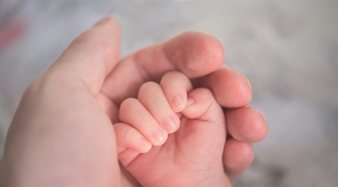 Hu Chen via Unsplash baby fist in an adult hand
