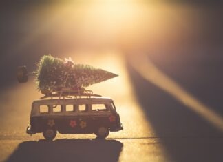 Denist Johnson via Unsplash toy van with little Christmas tree on top with the sun shining behind it
