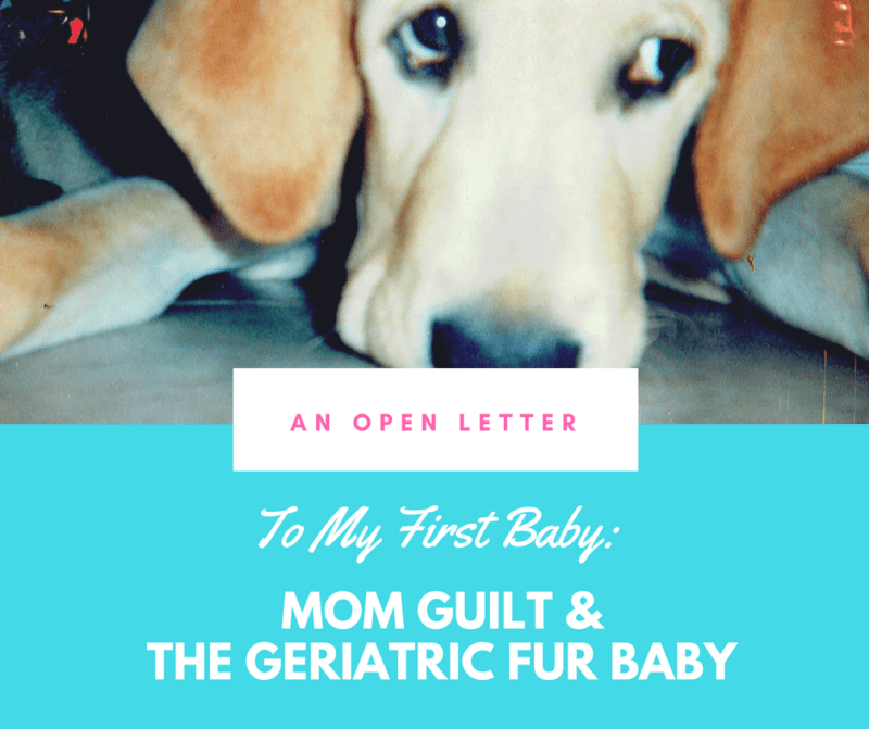 Mom Guilt and My Geriatric Fur Baby