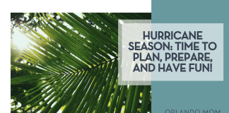 Hurricane Season: Time to Plan, Prepare, and have FUN! syd sujuaan via unsplash of palm leaf with sun coming through with words 'hurricane season: time to plan, prepare and have fun!'