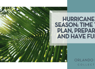Hurricane Season: Time to Plan, Prepare, and have FUN! syd sujuaan via unsplash of palm leaf with sun coming through with words 'hurricane season: time to plan, prepare and have fun!'