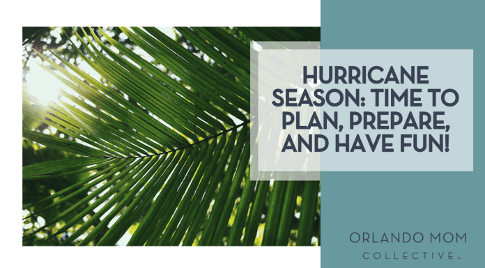 syd sujuaan via unsplash of palm leaf with sun coming through with words 'hurricane season: time to plan, prepare and have fun!'