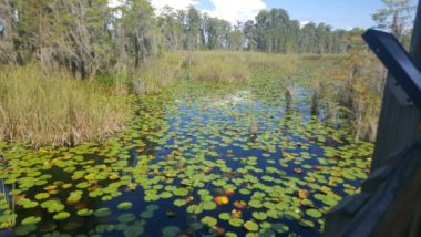 Winter Garden / Windermere, Florida