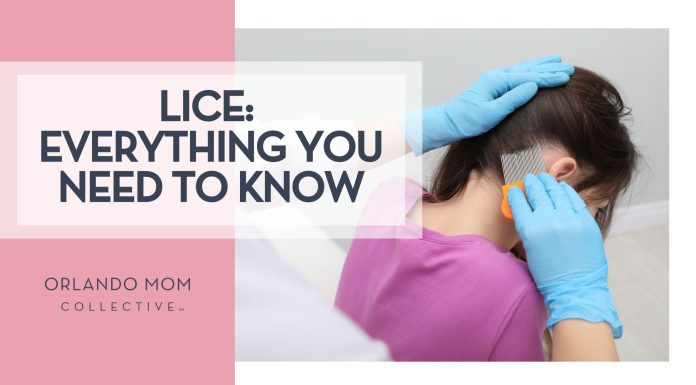 young girl getting examined for lice and lice removal