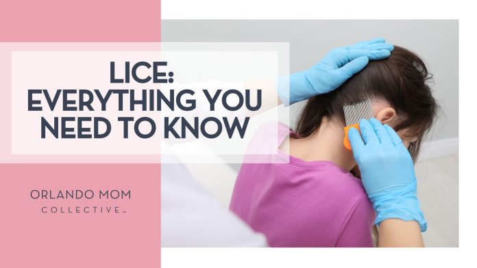 lice young girl getting examined for lice and lice removal