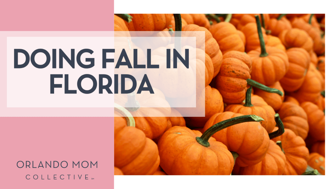 Doing Fall in Florida Gabby Orcutt via Unsplash small pumpkins with long stems and words 'doing fall in florida on the left'
