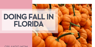 Doing Fall in Florida Gabby Orcutt via Unsplash small pumpkins with long stems and words 'doing fall in florida on the left'