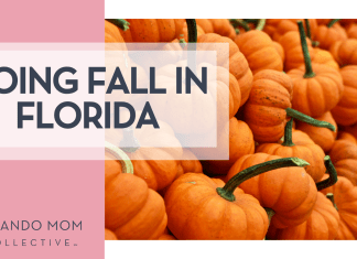 Gabby Orcutt via Unsplash small pumpkins with long stems and words 'doing fall in florida on the left'