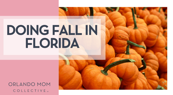Doing Fall in Florida Gabby Orcutt via Unsplash small pumpkins with long stems and words 'doing fall in florida on the left'
