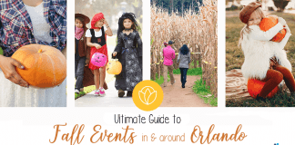 Ultimate Guide to Fall Events in and around Orlando!
