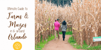 Guide to Farms and Mazes in Central Florida