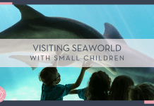 Mick Haupt via Unsplash photo of four kids at the glass looking in aquarium with dolphin - "visiting seaworld with small children" in text over