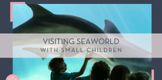 Mick Haupt via Unsplash photo of four kids at the glass looking in aquarium with dolphin - "visiting seaworld with small children" in text over