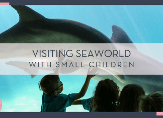 Mick Haupt via Unsplash photo of four kids at the glass looking in aquarium with dolphin - "visiting seaworld with small children" in text over