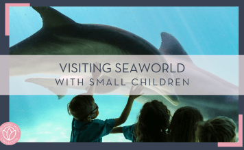 Mick Haupt via Unsplash photo of four kids at the glass looking in aquarium with dolphin - "visiting seaworld with small children" in text over