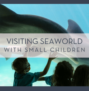 Mick Haupt via Unsplash photo of four kids at the glass looking in aquarium with dolphin - "visiting seaworld with small children" in text over