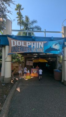 dolphin underwater viewing sign at seaworld orlando