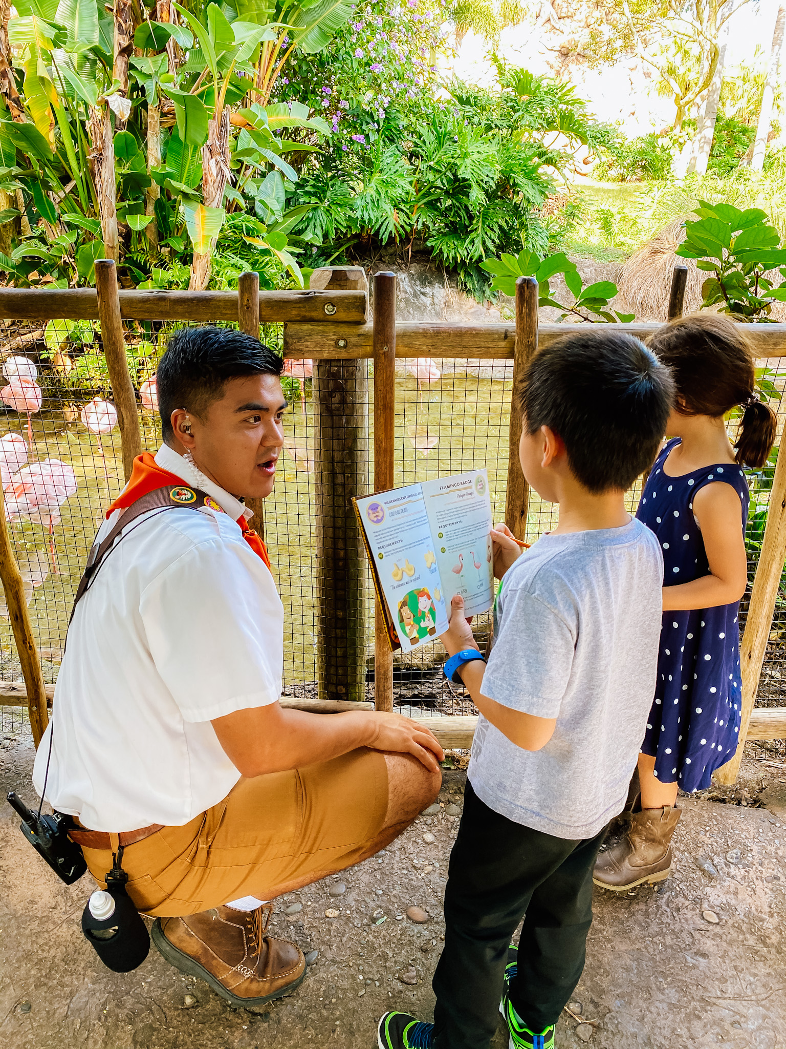 cast member and two kids looking at flamingos