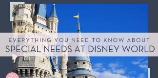 Everything to Know about Special Needs at Disney World Brian mcgowan via unsplash photo of the side of cinderella castle with words 'everything you need to know about special needs at disney world' on top