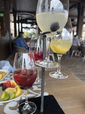 four wine glasses with white and red wines in a stand so cups are at various heights, fruit plate behind